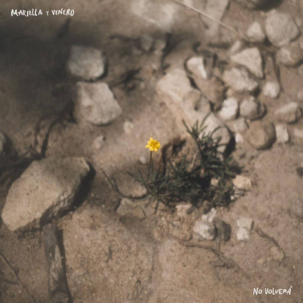 No Volverá